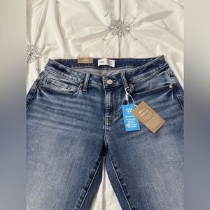 BKE Stella Low rise, Ankle Skinny Jeans Size 29. Distressed look.